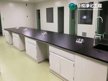 主实验室与辅助实验室的主要区别