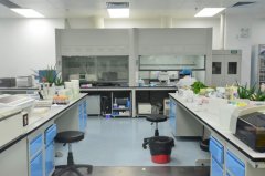 保定检验科实验室工作台常用表的维护方法