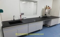 保定医学BSLＧ２实验室的施工进行了哪些规定