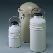 保定Thermo液氮罐